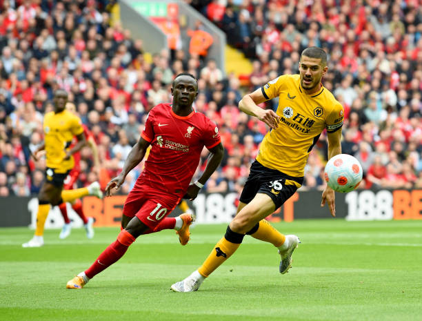 现有球员霍 现有球员霍