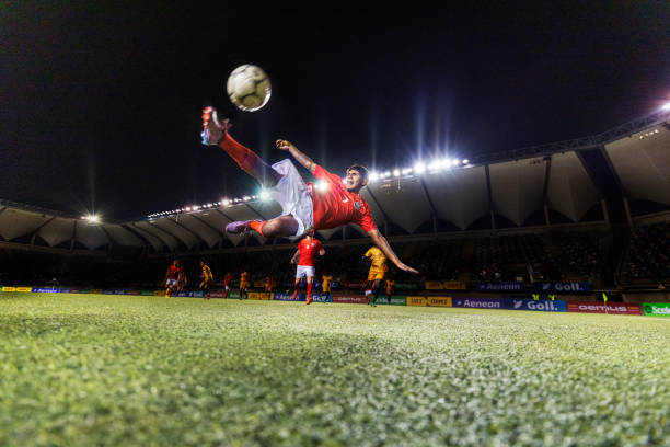 职业发展机 职业发展机