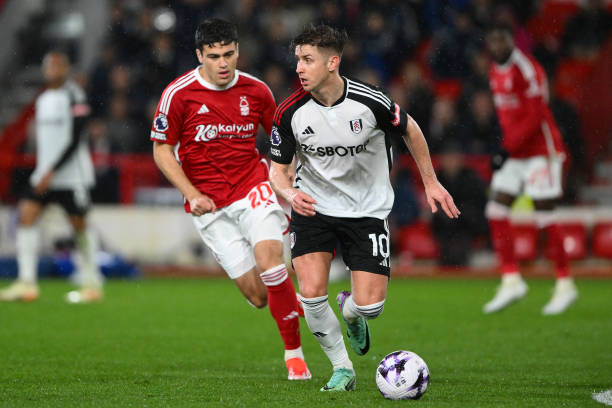 适应快速变 适应快速变